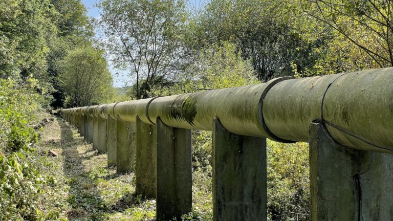 IMG 1487 1 - Quimper Brest