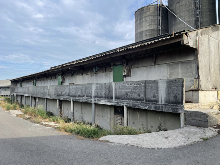 IMG 5521 1 - Quimper Brest